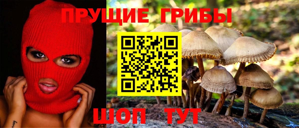 Галлюциногенные грибы GOLDEN TEACHER Видное
